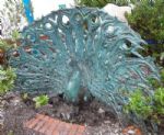 Ordsall Peacock